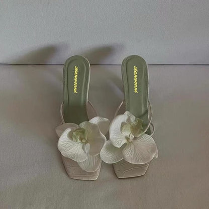 image11